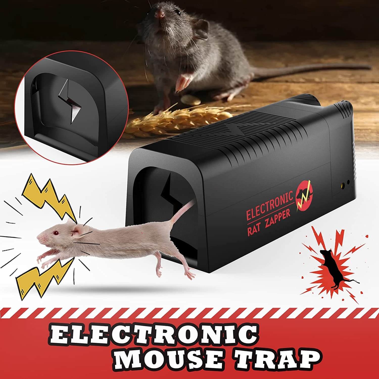 electronic rat trap