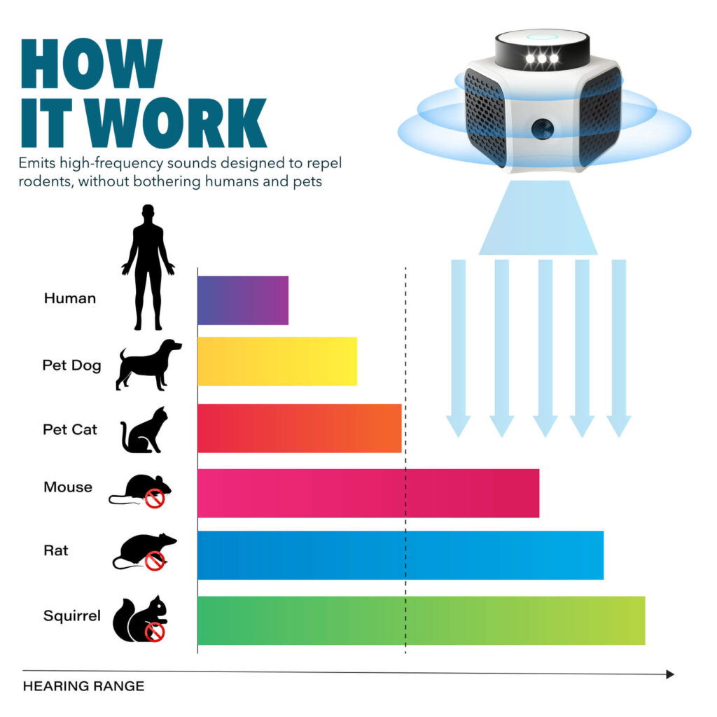 Do ultrasonic pest repellers work on ants-2