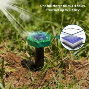 Do Mole and Gopher Sonic Spikes Work on Ground Hogs-3